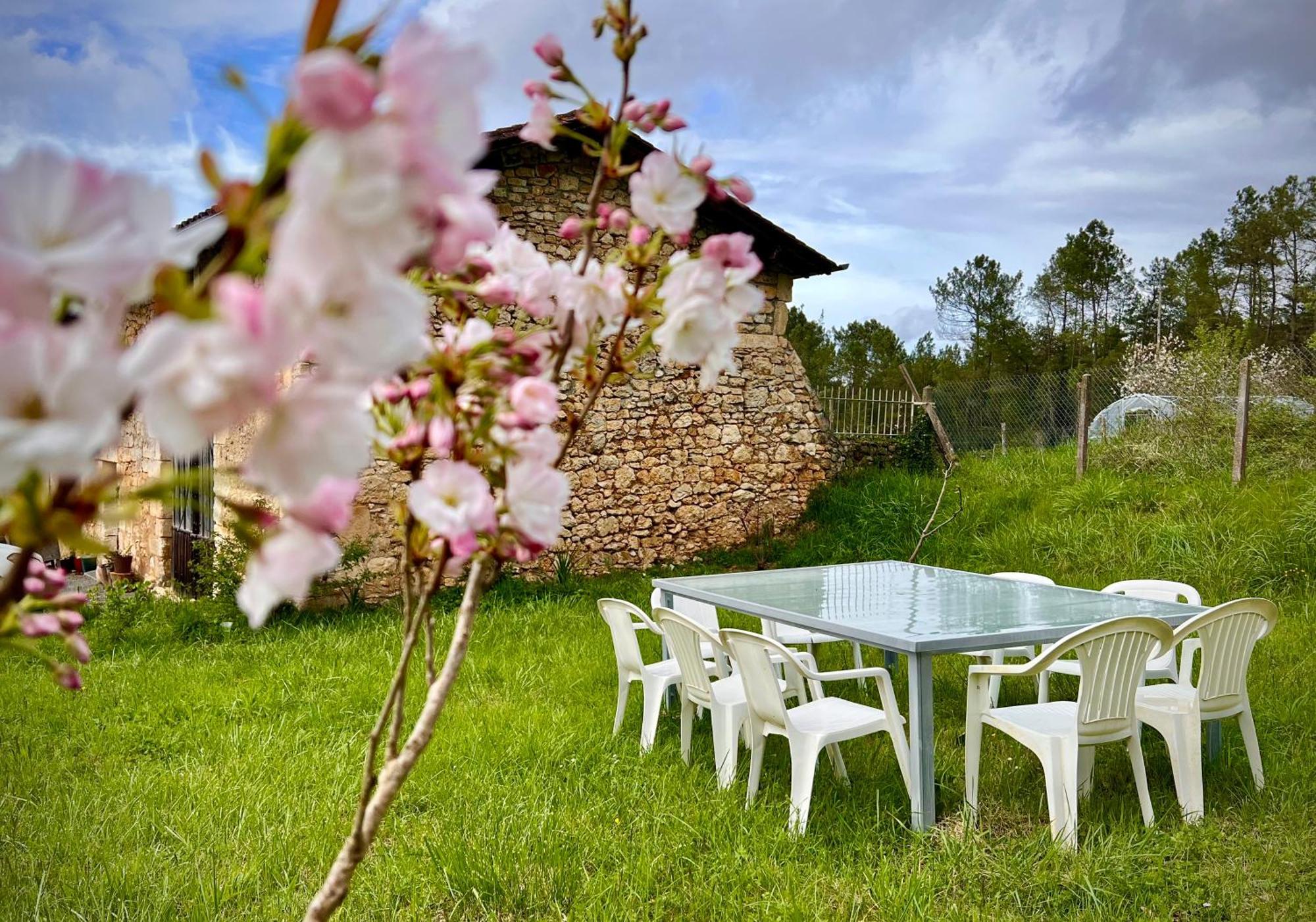 Ferme Gite Le Coeur Des Petits Chenes Saint-Pierre-de-Côle Extérieur photo