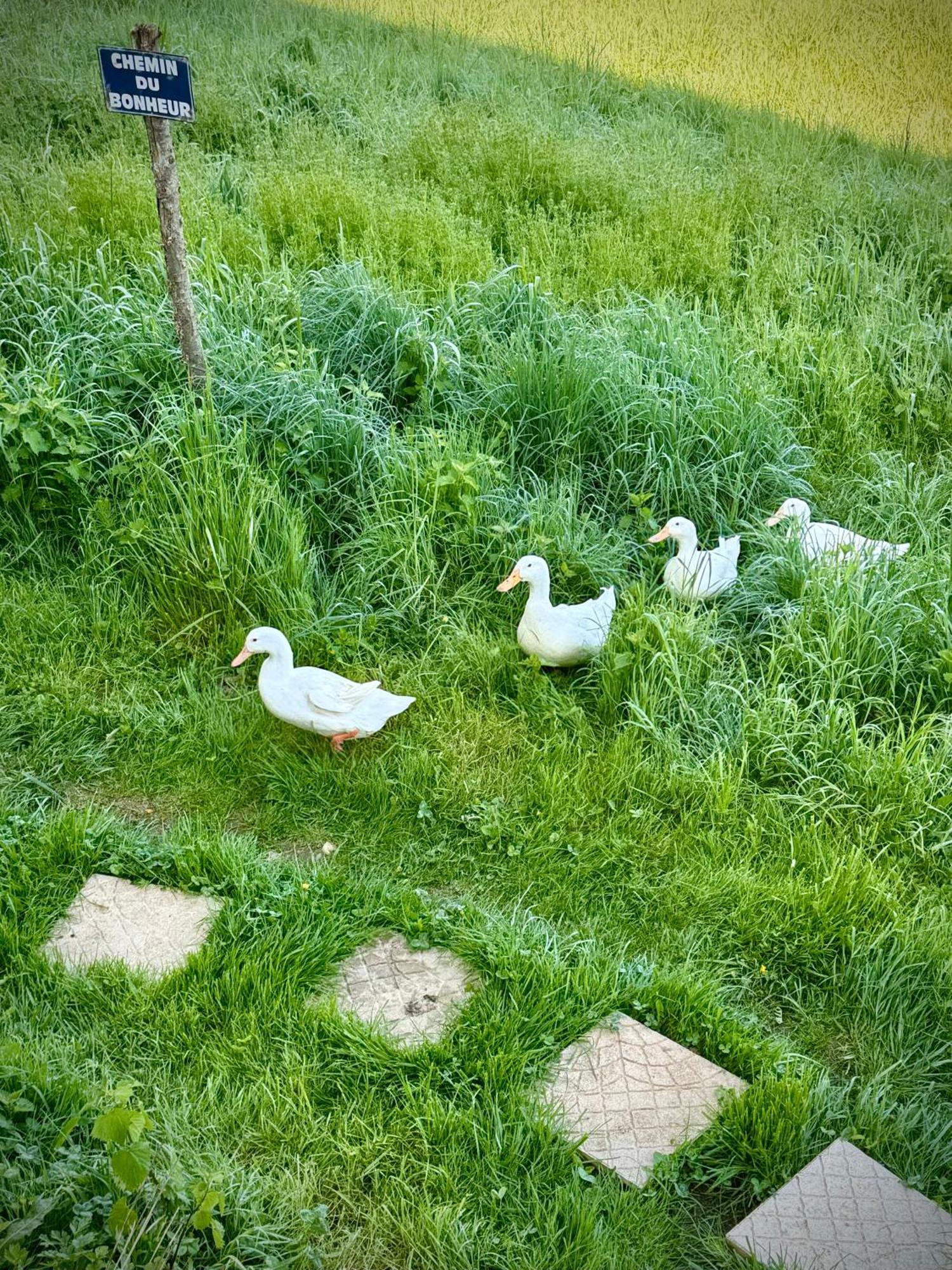 Ferme Gite Le Coeur Des Petits Chenes Saint-Pierre-de-Côle Extérieur photo